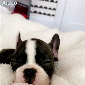 Meet your Posher, Payton